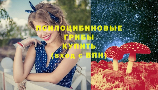 эйфоретик Алзамай