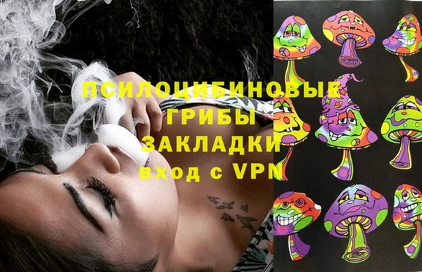 дмт Алексеевка