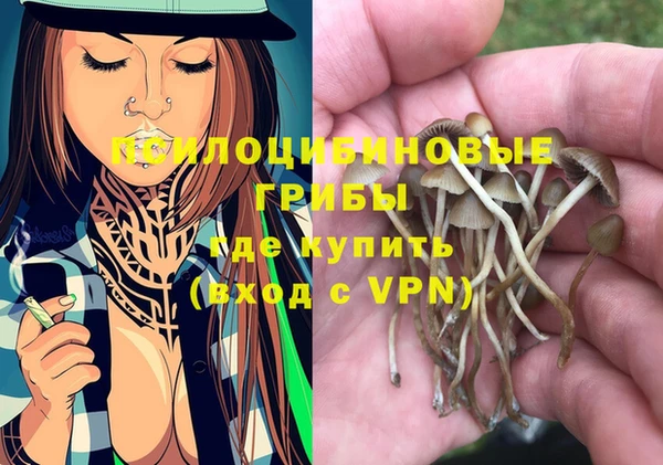 эйфоретик Алзамай