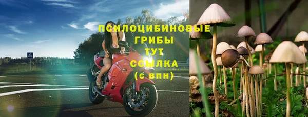дмт Алексеевка