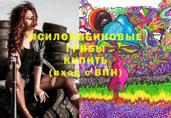 эйфоретик Алзамай