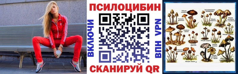 Псилоцибиновые грибы прущие грибы  закладки  Сосновый Бор 